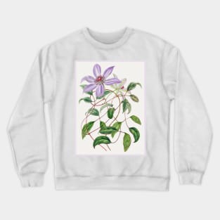 Violet Clematis Flower Branch Crewneck Sweatshirt